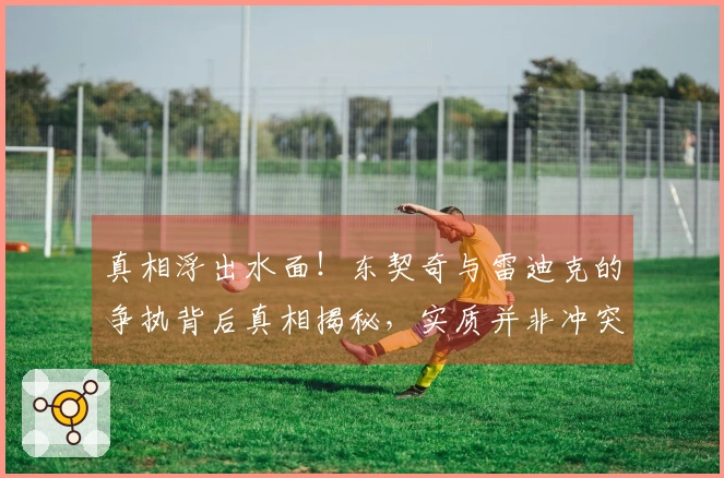 真相浮出水面！东契奇与雷迪克的争执背后真相揭秘，实质并非冲突