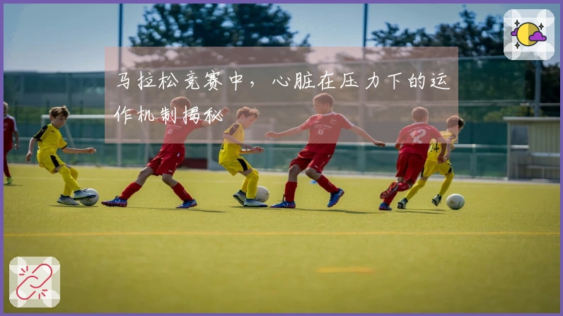 马拉松竞赛中，心脏在压力下的运作机制揭秘
