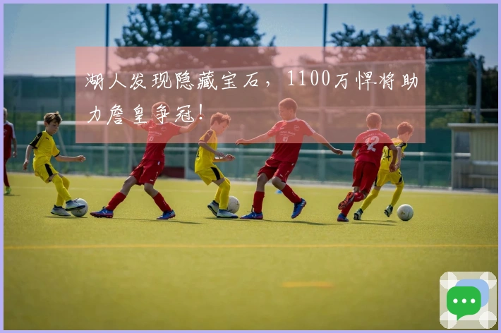 湖人发现隐藏宝石，1100万悍将助力詹皇争冠！